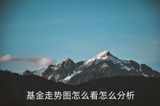 怎么看基金回報率數據