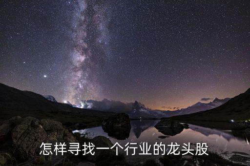 怎樣尋找一個行業的龍頭股
