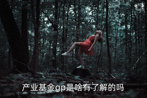產業基金gp是啥有了解的嗎