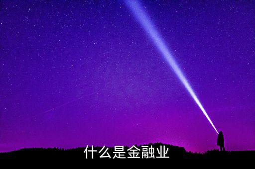 什么是金融業