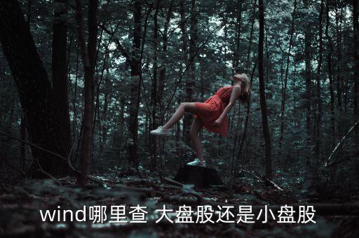 怎么看股票的盤大盤小,牛市中大盤股和小盤股區別