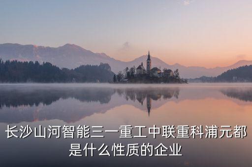長沙山河智能三一重工中聯重科浦元都是什么性質的企業