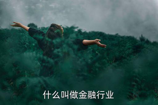 什么叫做金融行業