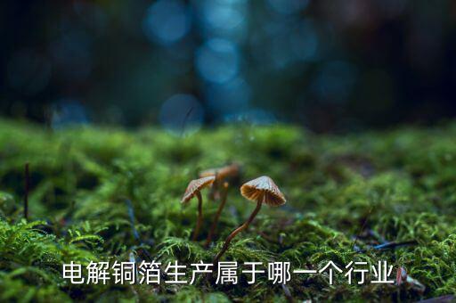 電子銅箔屬于什么行業，電解銅箔生產屬于哪一個行業