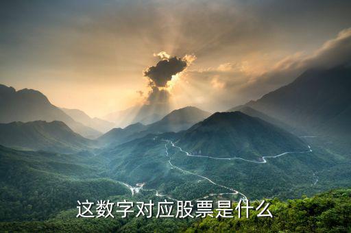 這數字對應股票是什么