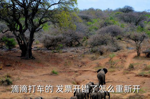  滴滴打車的 發票開錯了怎么重新開
