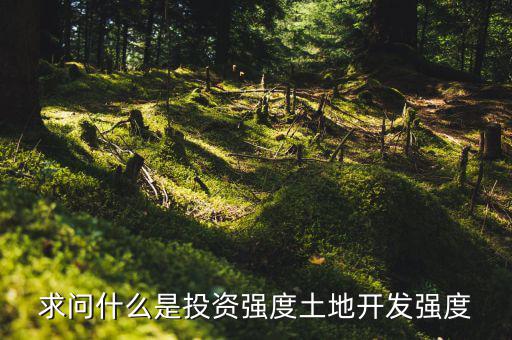 求問什么是投資強度土地開發強度