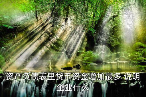 貨幣資金增加說明什么，資產負債表里貨幣資金增加最多 說明企業什么