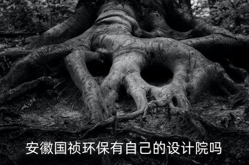安徽國禎環保有自己的設計院嗎