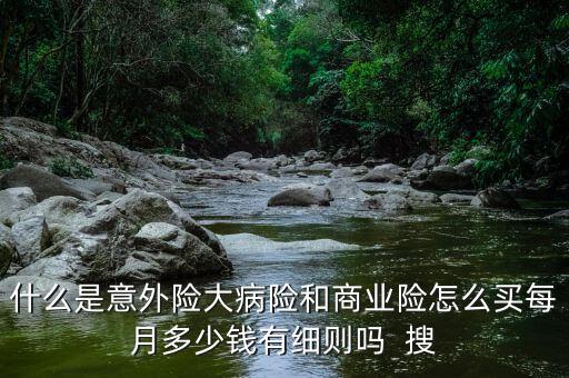 什么是意外險大病險和商業險怎么買每月多少錢有細則嗎  搜