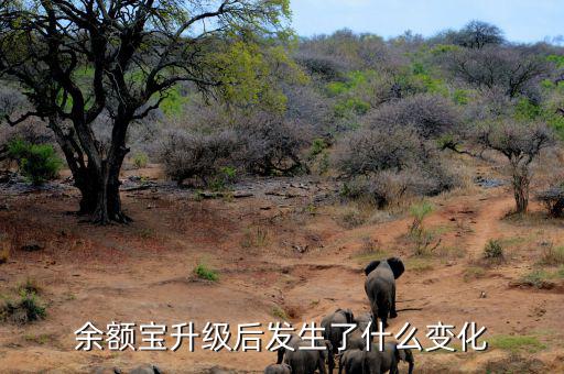 余額寶升級后發生了什么變化