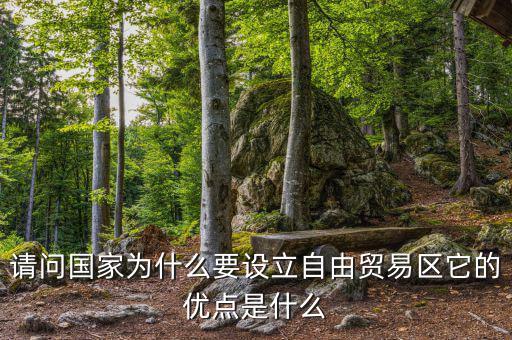 請問國家為什么要設立自由貿易區它的優點是什么