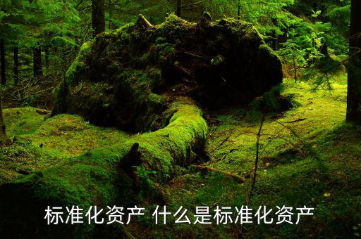 什么是標準化的金融資產，標準化資產 什么是標準化資產
