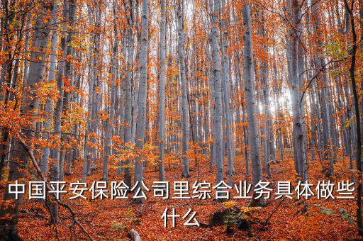 中國平安保險公司里綜合業務具體做些什么