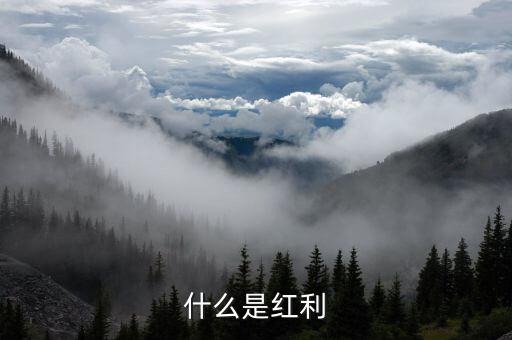 什么是全球化紅利，紅利是指什么意思