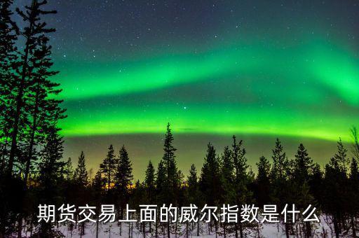 期貨交易上面的威爾指數是什么