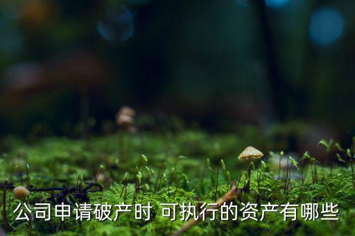 公司申請破產時 可執行的資產有哪些