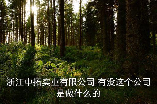 浙江中拓實業有限公司 有沒這個公司是做什么的