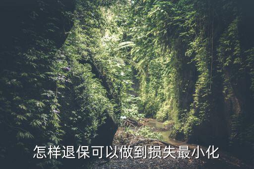 什么辦法能退保險不損失，退保怎樣能減少損失