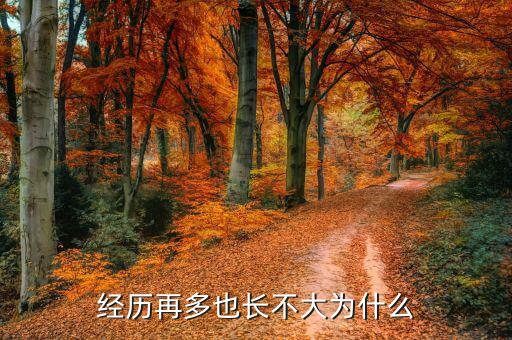 長不大的人為什么事業還能成功，失去二十幾歲的時間男人還能在事業上成功嗎