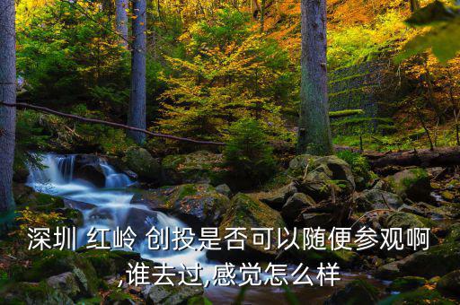紅嶺創投怎么加盟,紅嶺創投逾期費用1萬元逾期需加違約金