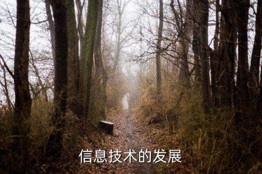 信息發展是什么板塊，中國軟件 屬于什么板塊