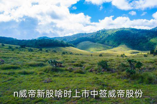 威帝股份什么時候上市，n威帝新股啥時上市中簽威帝股份