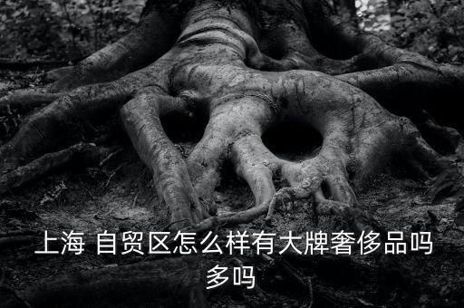  上海 自貿區怎么樣有大牌奢侈品嗎多嗎