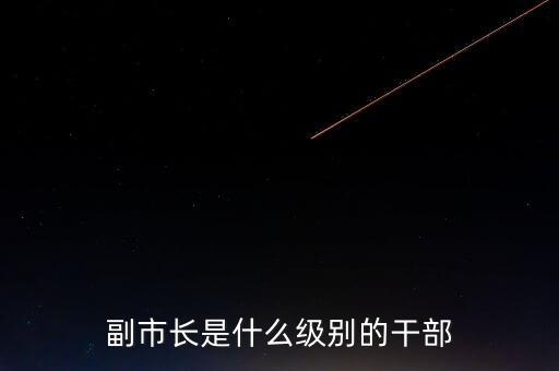 重慶市副市長是什么級別，重慶副市長是什么級別