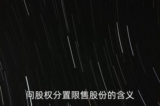深大通大股東為什么是限售股，問股權分置限售股份的含義