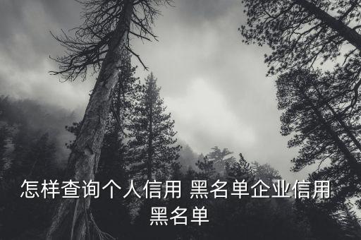 怎樣查詢個人信用 黑名單企業信用 黑名單