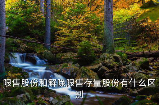 限售股份和解除限售存量股份有什么區別