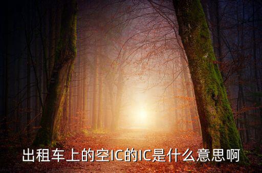 什么是ic空白卡，IC卡是什么