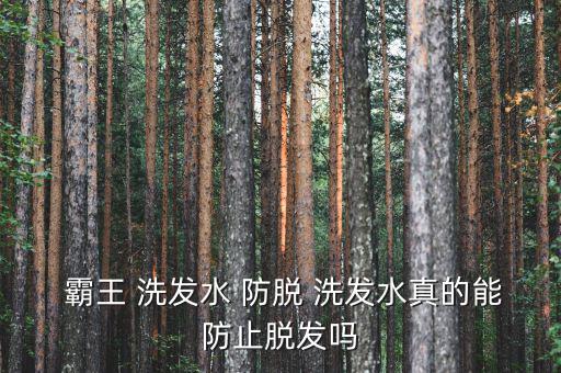  霸王 洗發水 防脫 洗發水真的能防止脫發嗎