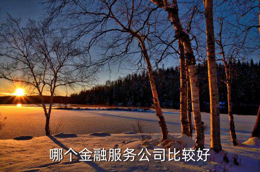綜合性金融服務機構是什么，安邦保險是綜合性的金融公司嗎它主要經營哪些業務