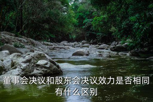 董事會決議和股東會決議效力是否相同有什么區別