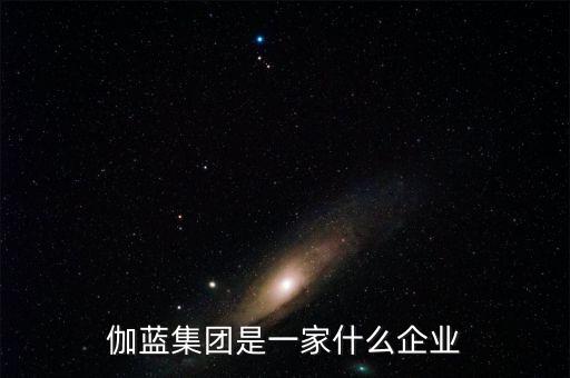伽藍集團是一家什么企業