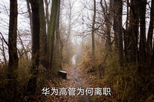 范家輝為什么離職，美國駐華大使家輝為什么宣布將辭職為什么來的如此的突然