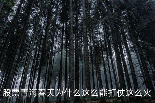 賢成礦業股份怎么樣,青海春天擬非公開發行股份購買資產