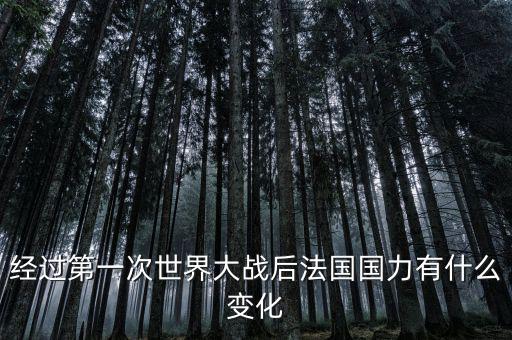 經過第一次世界大戰后法國國力有什么變化