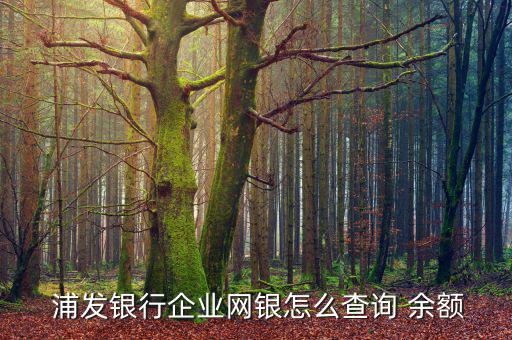 浦發銀行離岸怎么看余額,如何在網上查詢余額?