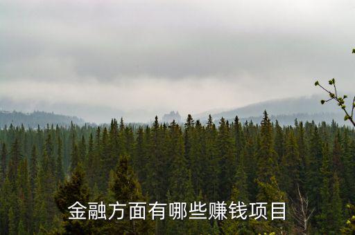 金融里什么賺錢，金融方面有哪些賺錢項目