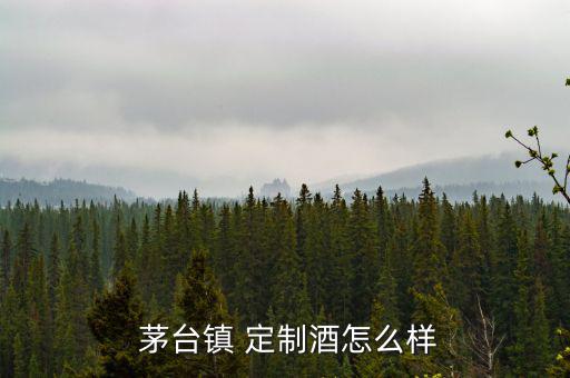  茅臺鎮 定制酒怎么樣
