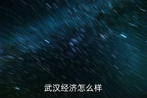 武漢經濟怎么樣