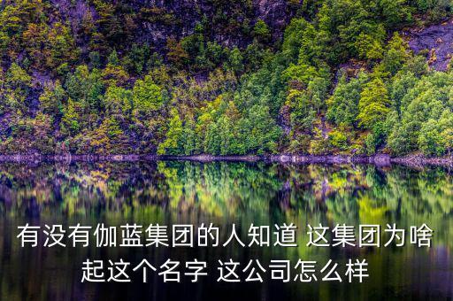 伽藍集團為什么不上市，伽藍集團是一家什么企業