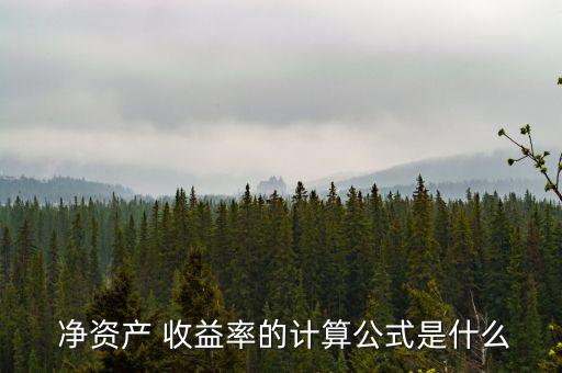 怎么看凈資產收益率,凈資產收益率