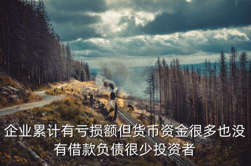 企業累計有虧損額但貨幣資金很多也沒有借款負債很少投資者