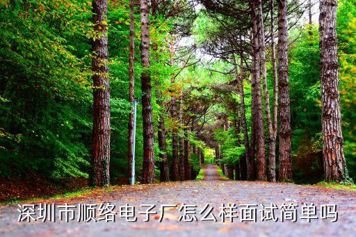 順絡電子是做什么的，深圳市順絡電子廠怎么樣面試簡單嗎