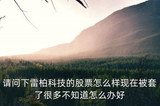 請問下雷柏科技的股票怎么樣現在被套了很多不知道怎么辦好