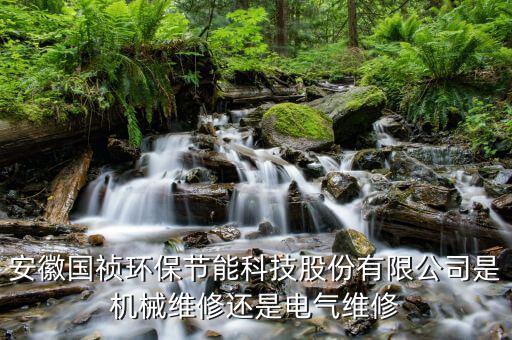 安徽國禎環保節能科技股份有限公司是機械維修還是電氣維修